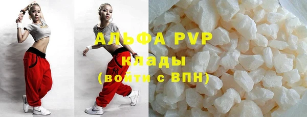 PSILOCYBIN Балахна