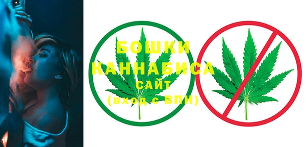 PSILOCYBIN Балахна